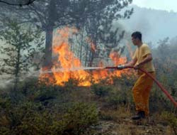 Çanakkale'de yangın ormana sıçradı